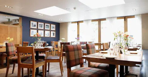 The Thatch