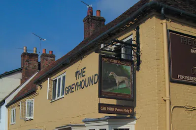 The Greyhound on the Test