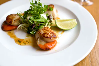 The Lime Tree West Didsbury