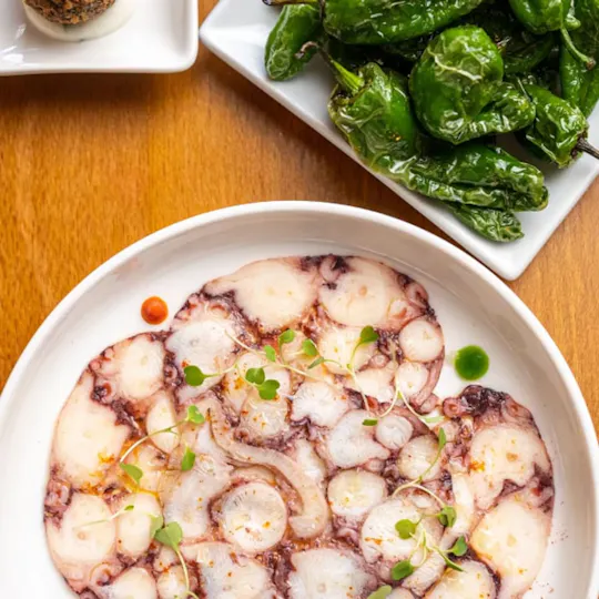 Tapa