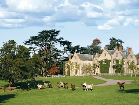 Combe House Hotel & Restaurant