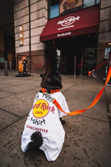 Hard Rock Café Manchester