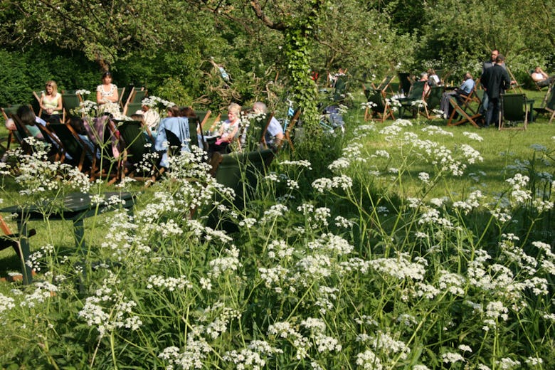 The Orchard Tea Garden