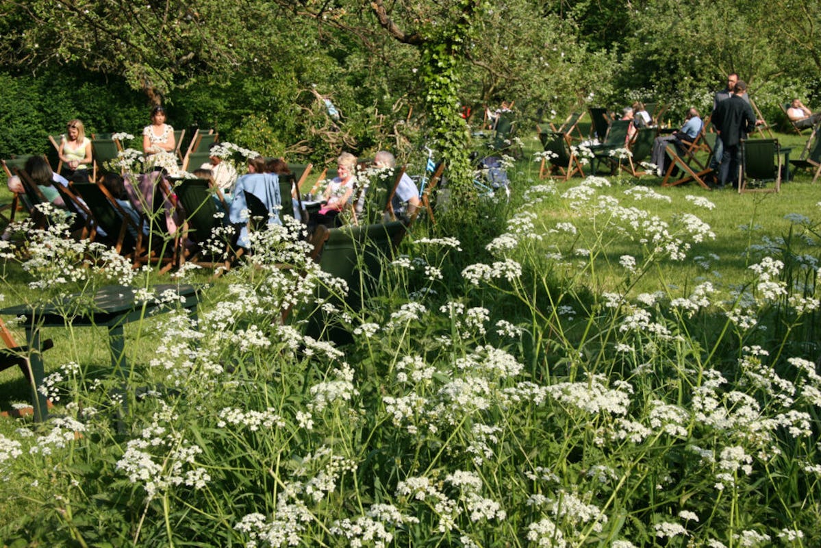 The Orchard Tea Garden