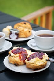 The Orchard Tea Garden