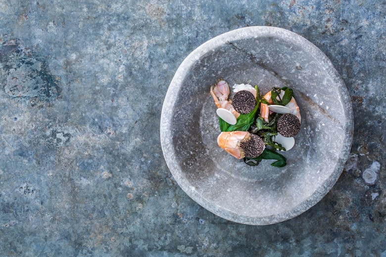 The Wild Rabbit