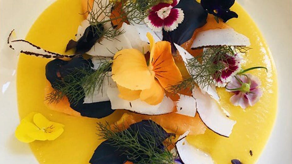 Spring, London - Restaurant Review, Menu, Opening Times