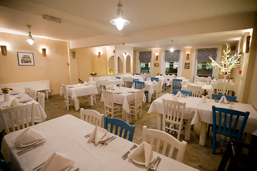 The Olive Grove Cambridge