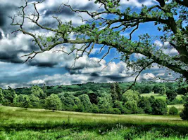  Wedding Venues near Sevenoaks