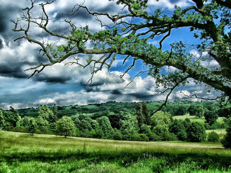  Wedding Venues near Sevenoaks