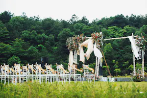  Wedding Venues near Wellington
