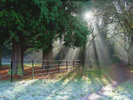 Blank canvas Event & party venues near Dorking