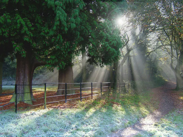 Blank canvas Event & party venues near Dorking