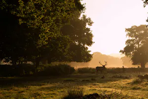 Creative Event & party venues near South London