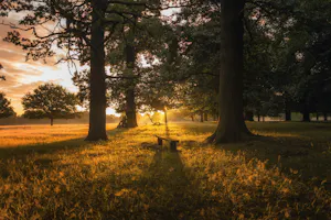 Historic Wedding Venues near South London