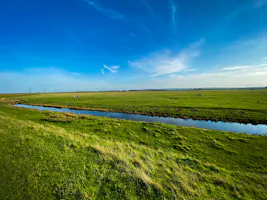  Restaurants near Faversham Me13