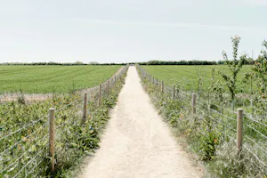  Restaurants near Quorn