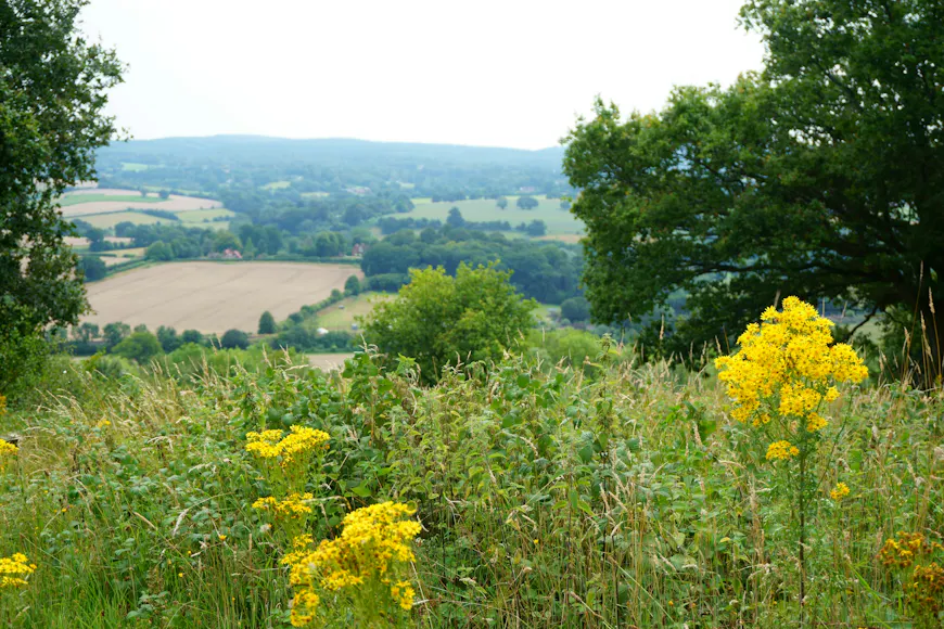  Private & Group Dining Rooms near Surrey