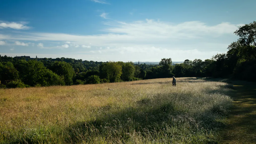  Private & Group Dining Rooms near Hampshire