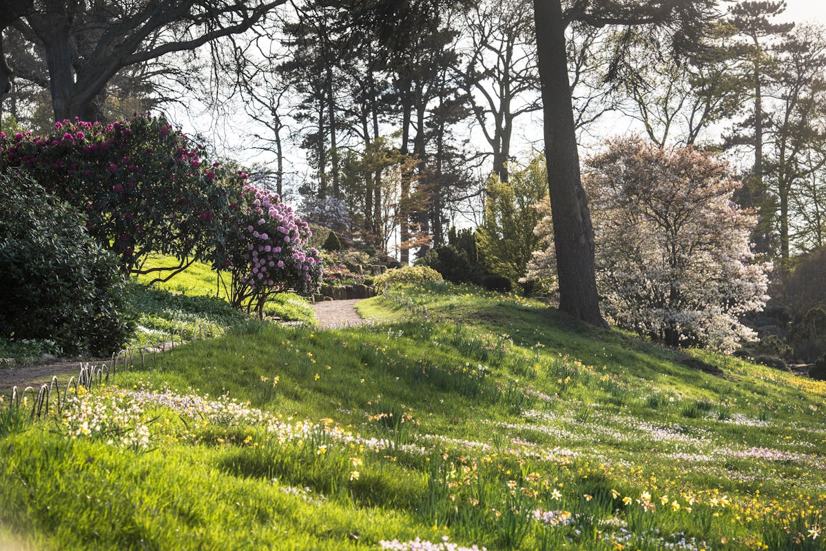 RHS Garden Wisley