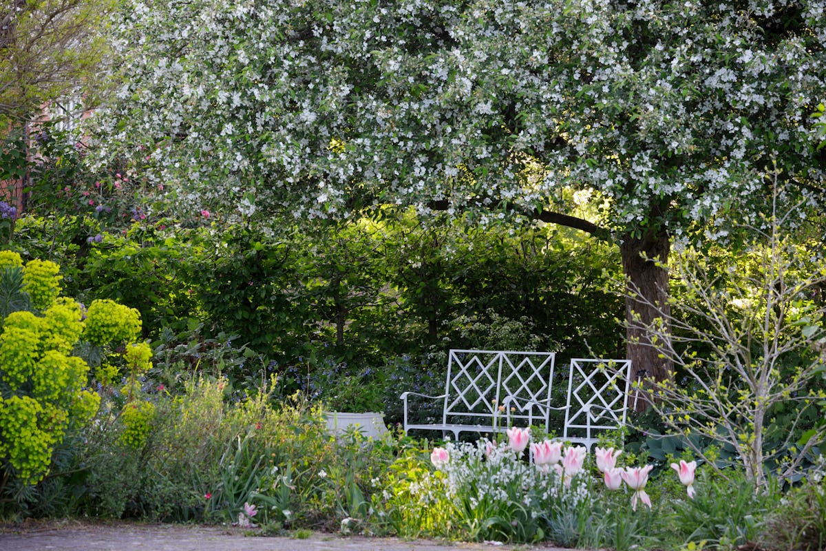 RHS Garden Wisley
