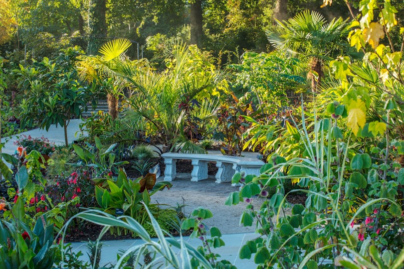 RHS Garden Wisley