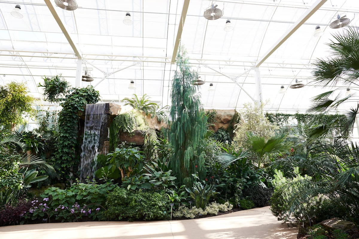 RHS Garden Wisley