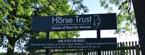 The Horse Trust