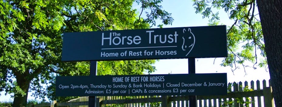 The Horse Trust