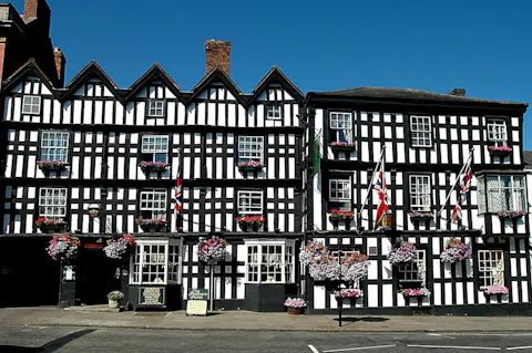The Feathers Hotel