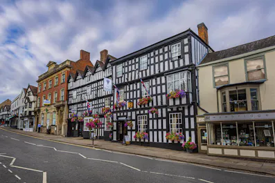 The Feathers Hotel