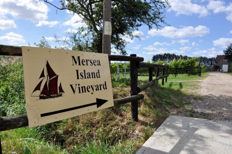 Mersea Island Vineyard