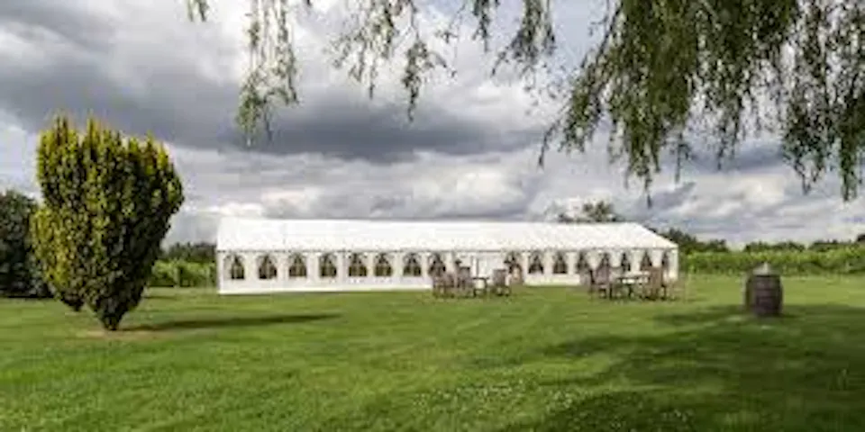 Dedham Vale Vineyard
