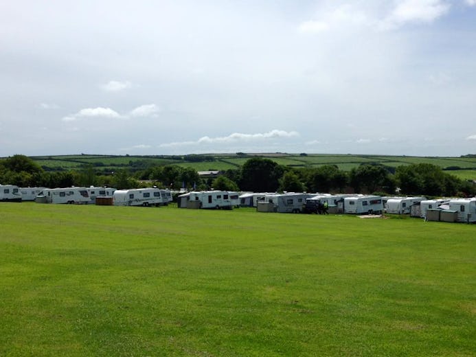 Stowford Farm Meadows