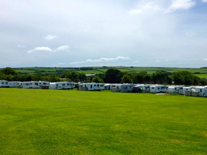 Stowford Farm Meadows