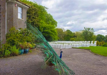 Dartmoor Zoological Park