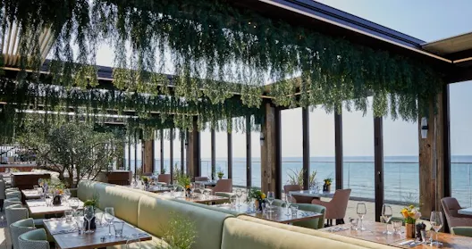 The Roof Terrace