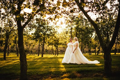 The Orchard at Munsley