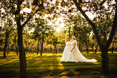 The Orchard at Munsley