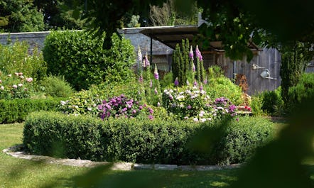 Pythouse Kitchen Garden