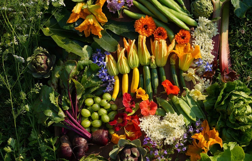 Pythouse Kitchen Garden