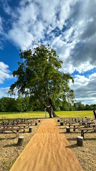 Ceremony Under the Beech Tree