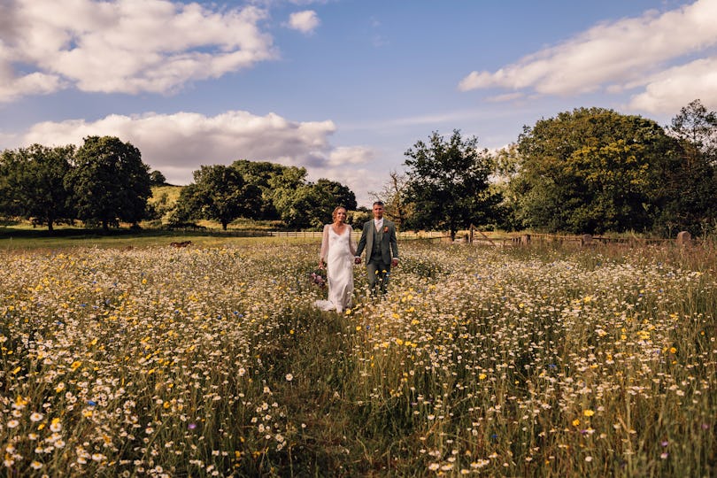 Swanley Meadows