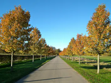 Clandon Regis Golf Club