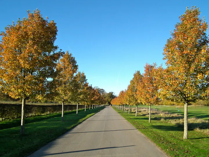 Clandon Regis Golf Club