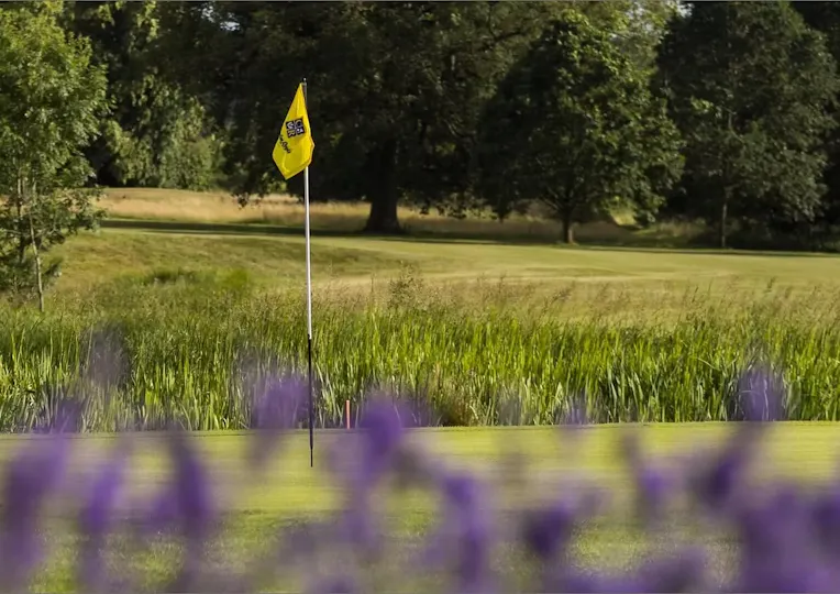 Clandon Regis Golf Club