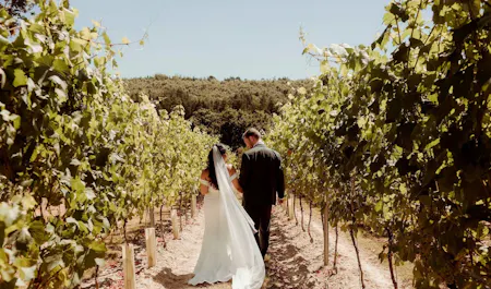 Leonardslee Wine Estate