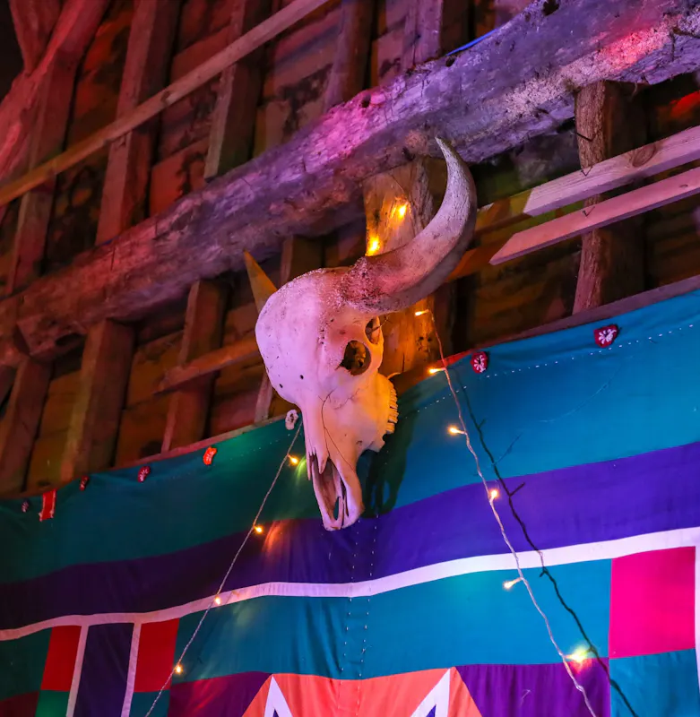 Ark Buffalo