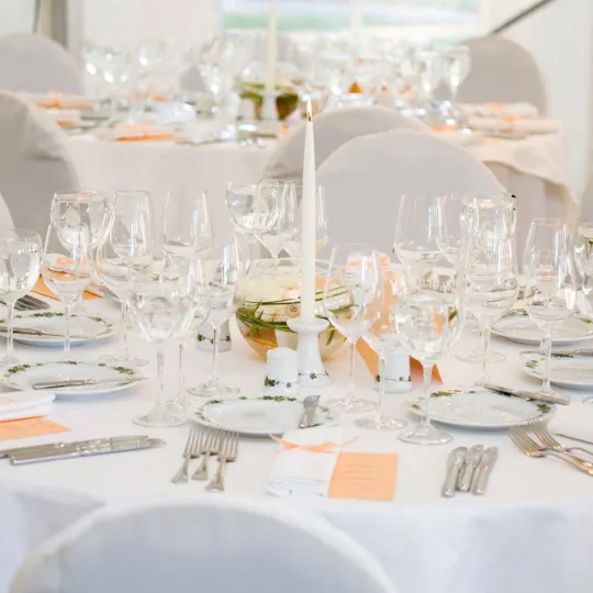 Mercure Maidstone Great Danes Hotel