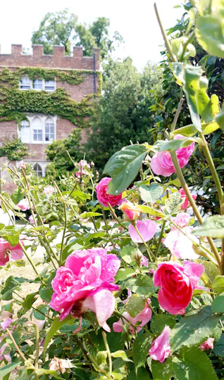 Hertford Castle